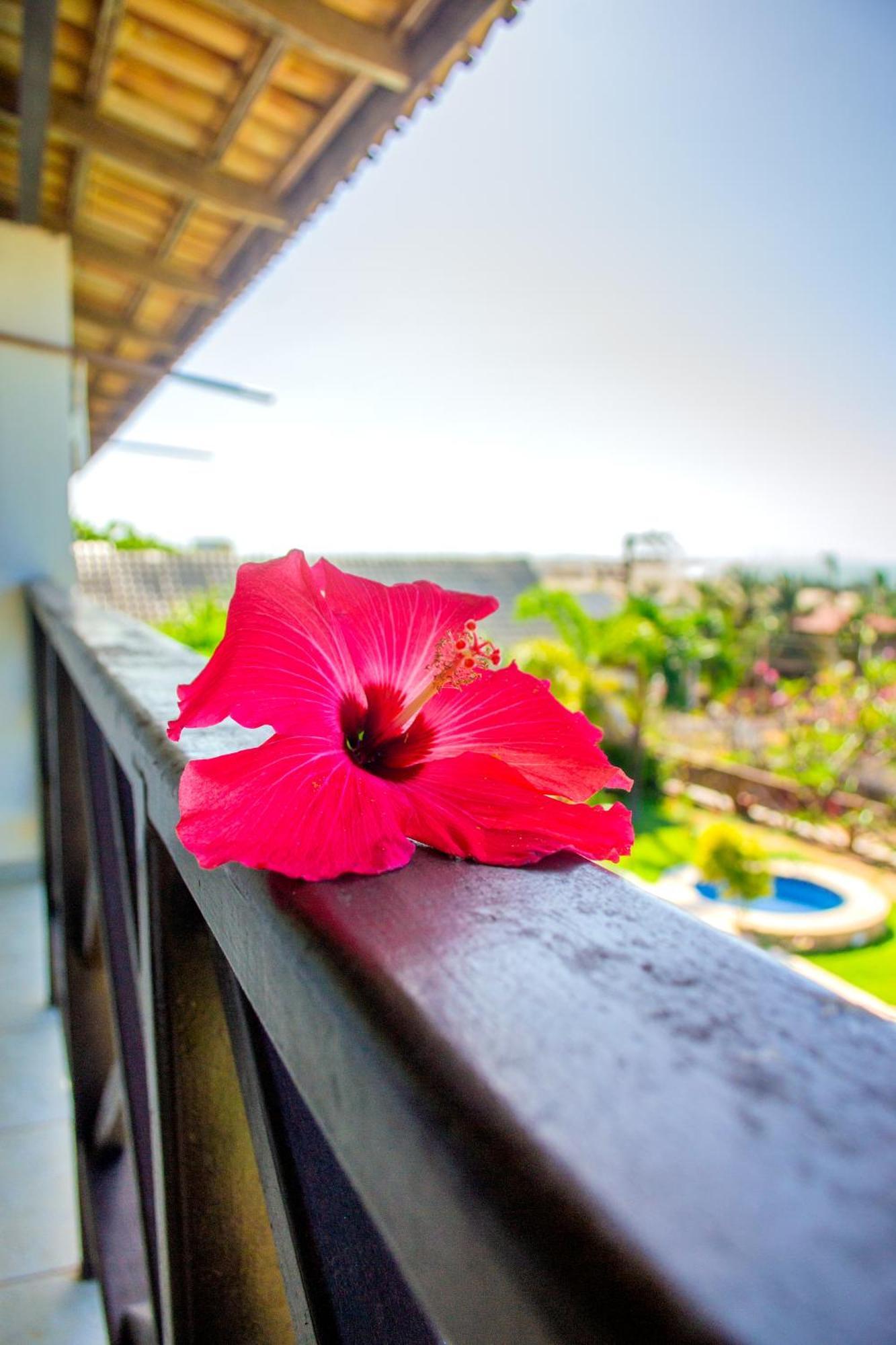 Milano Hotel Pousada Canoa Quebrada Exteriér fotografie